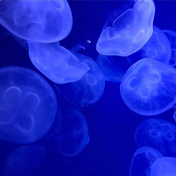 Meet your Posher, Brian - Picture 1 of 1